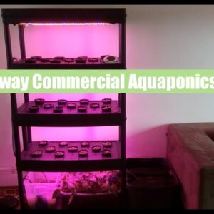 Norway Commercial Prototype Part 2 | Ask The Aquaponics God