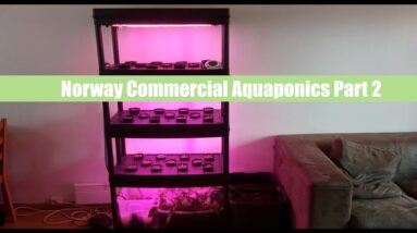 Norway Commercial Prototype Part 2 | Ask The Aquaponics God