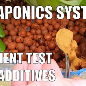 Nutrient Supplements for Aquaponics Systems | Test Results