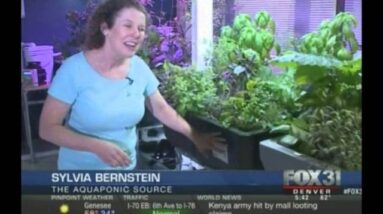 Aquaponics - Growing Vegetables Without Soil - Fox News interviews The Aquaponic Source