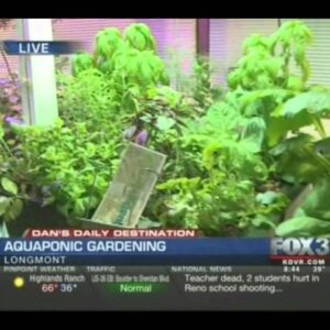 Aquaponics - A new way to garden - Fox News interviews The Aquaponic Source