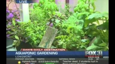 Aquaponics - A new way to garden - Fox News interviews The Aquaponic Source