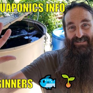 FREE Aquaponics Information For Beginners 🐟🥦🌱🍅