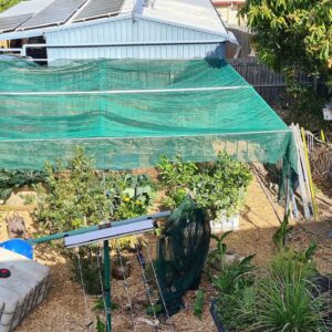 Shade House Build & 1st Blueberry Harvest for the Season