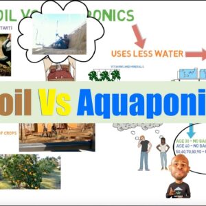 Soil vs Aquaponics