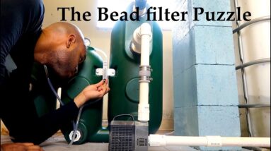 Solving The Bead Filter Puzzle  | The Aquaponics God Ep. 31