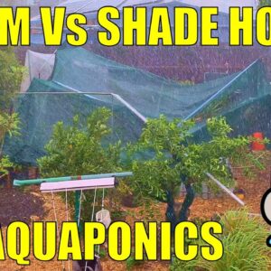 Storm Vs Shade House & Aquaponics