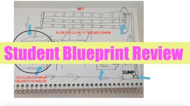 Student Aquaponics Blueprint Review | Ask The Aquaponics God Ep24