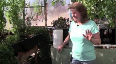 The Aquaponic Source BLOOPERS