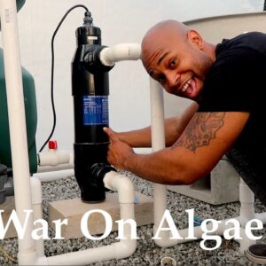 The War On Algae In Aquaponics | The Aquaponics God Ep.44