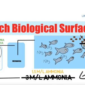 Too Much Biological Surface Area | Ask The Aquaponics God Ep22