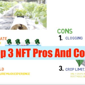 Top 3 NFT Pros And Cons | Aquaponics Top 3 Ep1