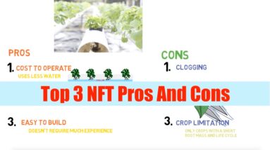 Top 3 NFT Pros And Cons | Aquaponics Top 3 Ep1