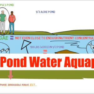 Using Pond Water In Aquaponics | Ask The Aquaponics God