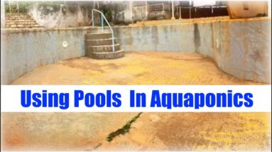 Using Pools For Aquaponics | Ask the Aquaponics God