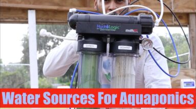 Water Sources For Aquaponics | Ask The Aquaponics God