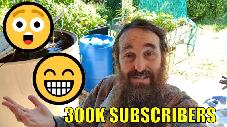 WOW 300K Subscribers & Some Personal Bits