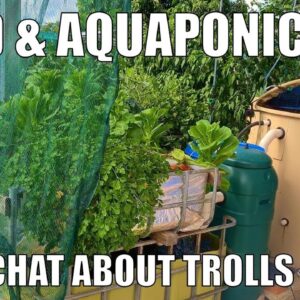 Yard / Aquaponics Update & Rob Vs Trolls