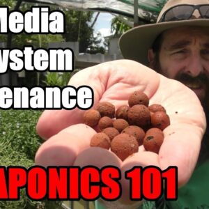 Aquaponic System FAQ | Does it Take a Lot of Work!  How long Does The Pump Run? & MORE