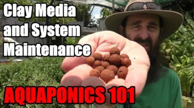 Aquaponic System FAQ | Does it Take a Lot of Work!  How long Does The Pump Run? & MORE