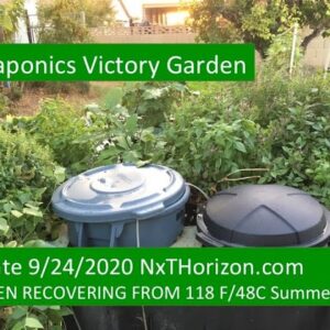 9:24:2020 UPDATE AQUAPONICS VICTORY GARDEN  RECOVERING BUT OKRA MAY BE A MISTAKE