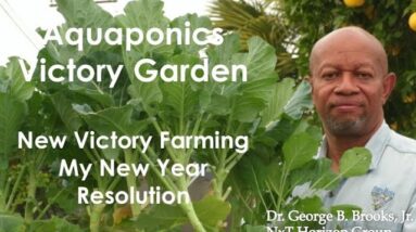 1:3:2021 AQUAPONICS VICTORY GARDEN   NEW YEAR RESOLUTIONS