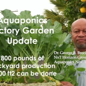 11:15:2020 AQUAPONICS VICTORY GARDEN UPDATE "800 lbs in 400 ft2 can be done "