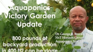 11:15:2020 AQUAPONICS VICTORY GARDEN UPDATE "800 lbs in 400 ft2 can be done "