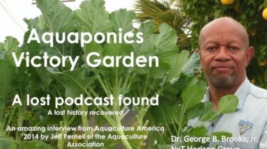 2:10:2021 Aquaponics Victory Garden Update : A Lost Podcast Found