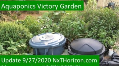 9:27:2020 UPDATE AQUAPONICS VICTORY GARDEN   5 HOUR POWER LOSS - NO FISH KILL!