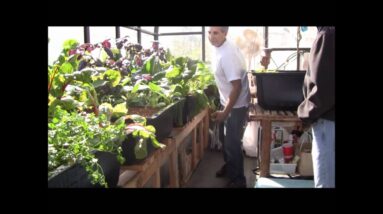 Alan Explains Part 3 - How water leaves the fish tank and grow beds in an aquaponic's system