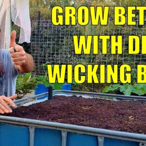 How to Make a Wicking Bed with Bread Crates | Large Water Capacity & Healthy Soils