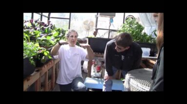 Alan Explains Part 1 - Aquaponics Bridge Siphons