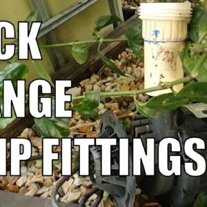 "Aquaponics" Vlog - QUICK CHANGE PUMP FITTINGS - I Don't Hear Water 🤨