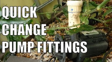 "Aquaponics" Vlog - QUICK CHANGE PUMP FITTINGS - I Don't Hear Water 🤨