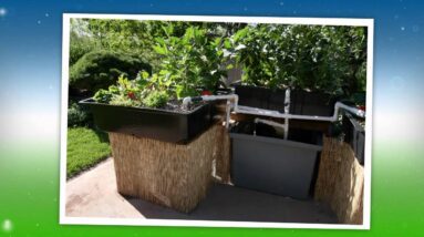 AquaBundance 4x4  Modular Aquaponics System