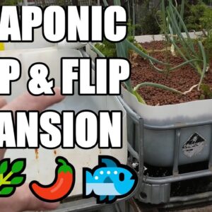 Aquaponic Chop & Flip Expansion | System Layout