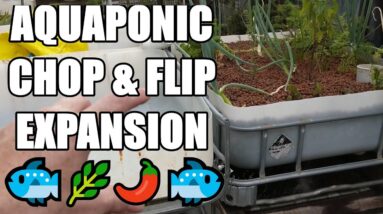 Aquaponic Chop & Flip Expansion | System Layout