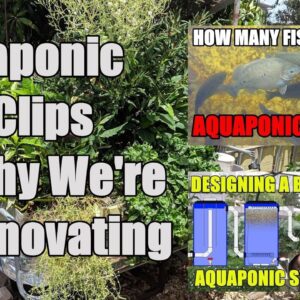 Aquaponic How To Clips - Aquaponic Update + Why We're Renovating