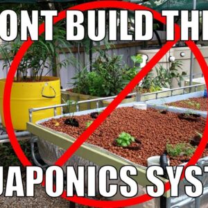 Aquaponic System Design Mistakes | Don't Copy Me