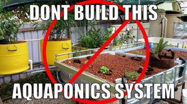 Aquaponic System Design Mistakes | Don't Copy Me