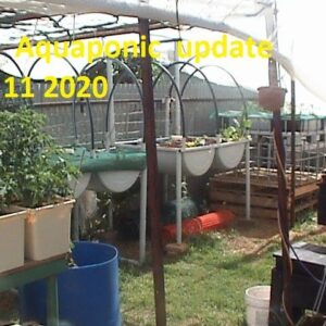 Aquaponic  update  27 11 2020