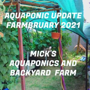 Aquaponic update february 2021