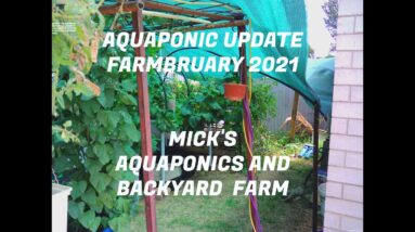 Aquaponic update february 2021