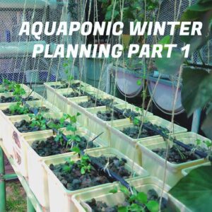 Aquaponic winter  planning Part 1