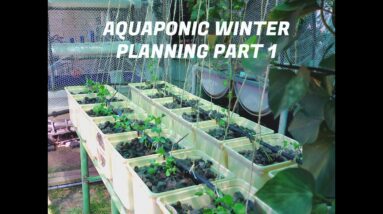 Aquaponic winter  planning Part 1