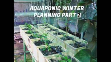 Aquaponic winter  planning Part   2