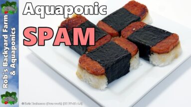 Aquaponically Grown Spam & Update on the Updates