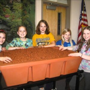 Aquaponics at the St. Vrain MESA Program