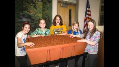 Aquaponics at the St. Vrain MESA Program